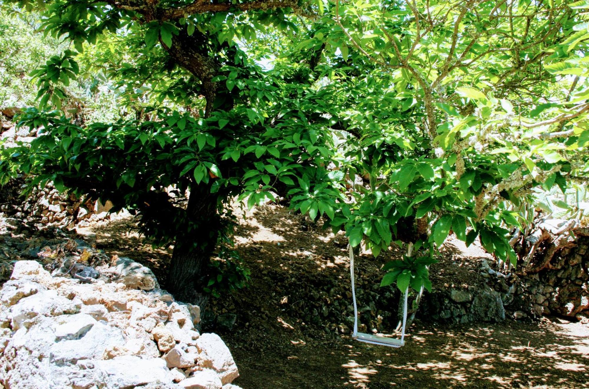Las Casas Del Abuelito Julian & La Abuela Leonor Isora Εξωτερικό φωτογραφία